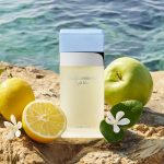 DOLCE & GABBANA - LIGHT BLUE