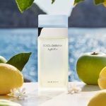 DOLCE & GABBANA - LIGHT BLUE