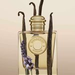 BURBERRY - BURBERRY GODDESS