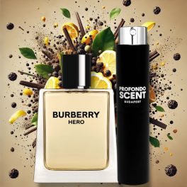 BURBERRY - HERO