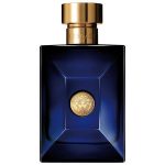 VERSACE - DYLAN BLUE POUR HOMME